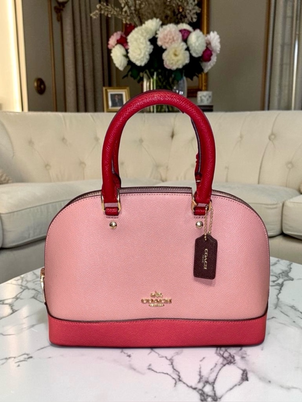 COACH Mini Sierra Satchel Pink Red Oxblood Colorblock Leather Gold Chain Strap